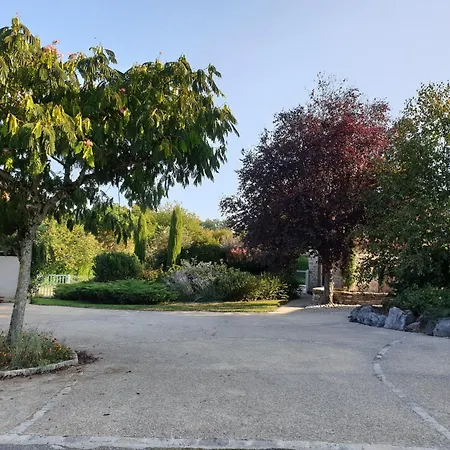 Au Fil Des Hirondelles *